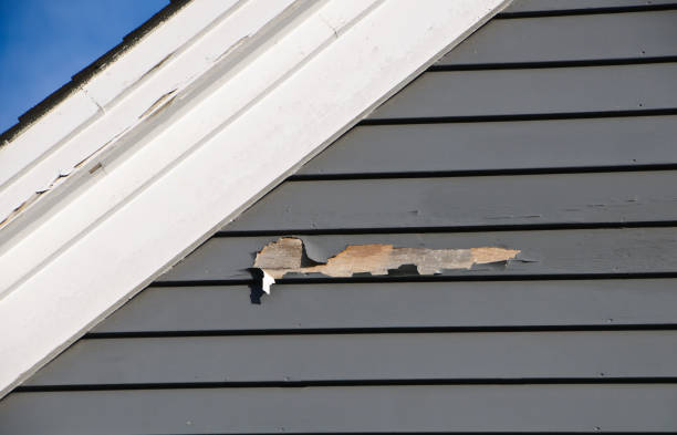 Best Hoarding Cleanup  in Bay Village, OH